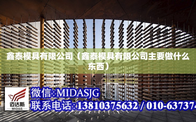 鑫泰模具有限公司（鑫泰模具有限公司主要做什么東西）