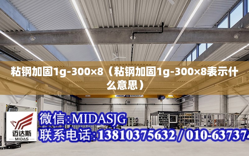 粘鋼加固1g-300×8（粘鋼加固1g-300×8表示什么意思）