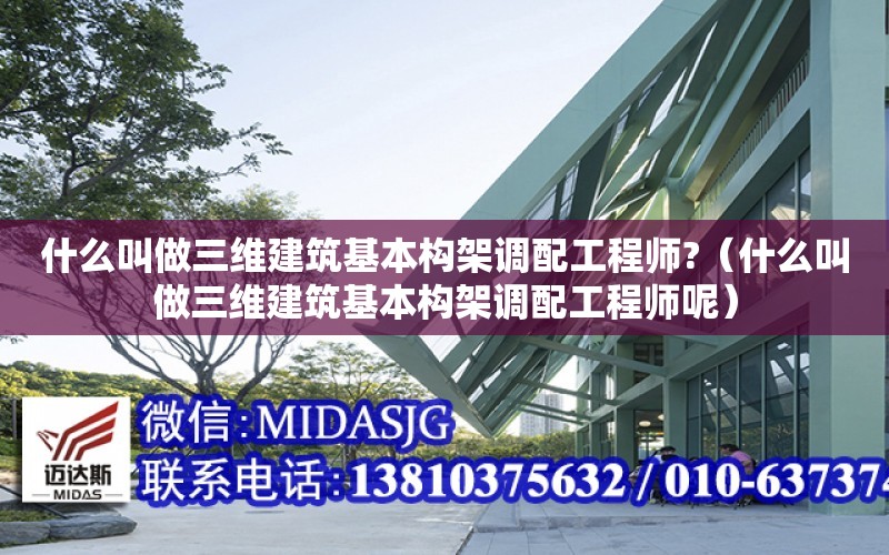 什么叫做三維建筑基本構架調配工程師?（什么叫做三維建筑基本構架調配工程師呢）