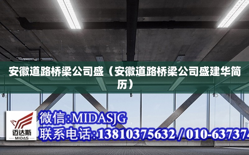 安徽道路橋梁公司盛（安徽道路橋梁公司盛建華簡歷）