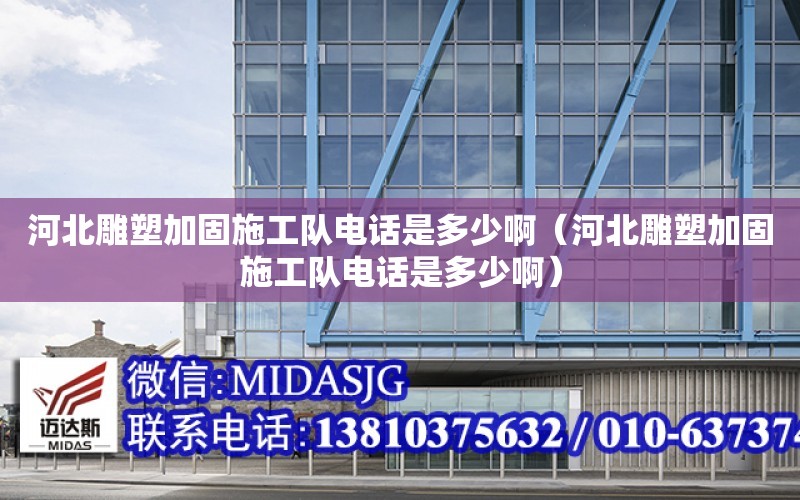 河北雕塑加固施工隊電話是多少?。ê颖钡袼芗庸淌┕り犽娫捠嵌嗌侔。? title=