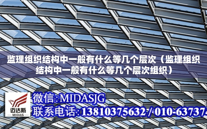 監理組織結構中一般有什么等幾個層次（監理組織結構中一般有什么等幾個層次組織）