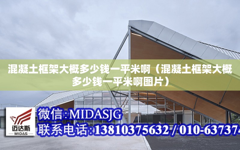 混凝土框架大概多少錢一平米?。ɑ炷量蚣艽蟾哦嗌馘X一平米啊圖片）