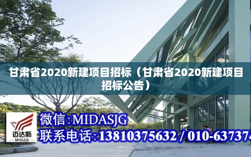 甘肅省2020新建項目招標（甘肅省2020新建項目招標公告）