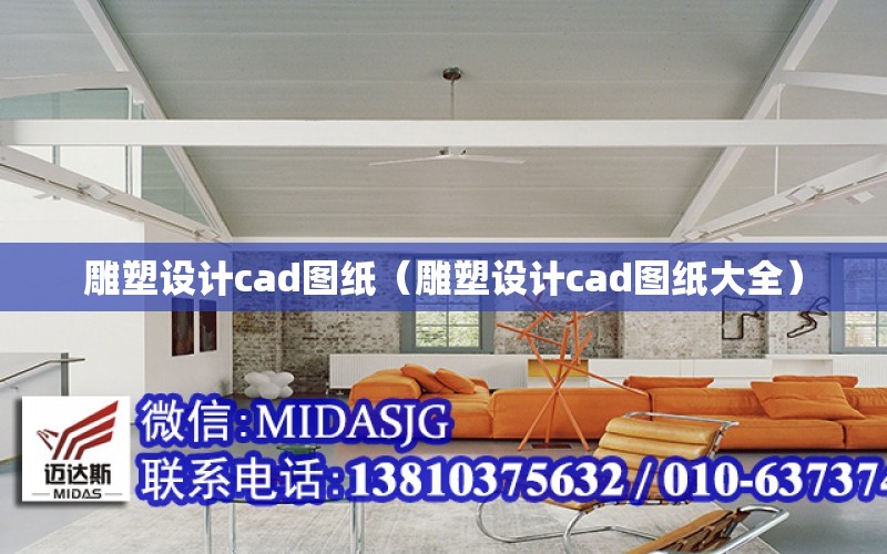 雕塑設計cad圖紙（雕塑設計cad圖紙大全）