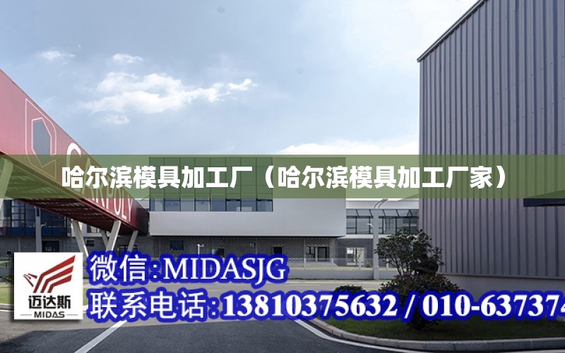 哈爾濱模具加工廠（哈爾濱模具加工廠家）