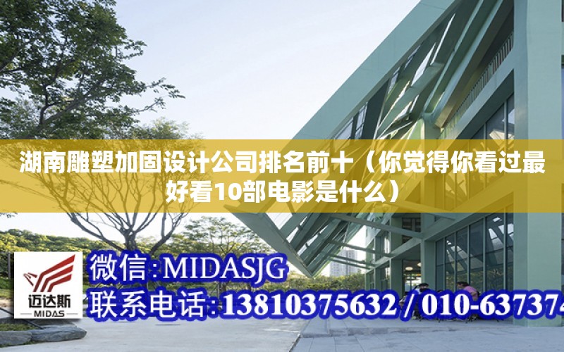 湖南雕塑加固設計公司排名前十（你覺得你看過最好看10部電影是什么）