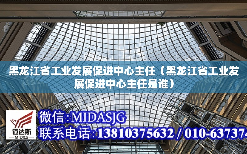 黑龍江省工業發展促進中心主任（黑龍江省工業發展促進中心主任是誰）