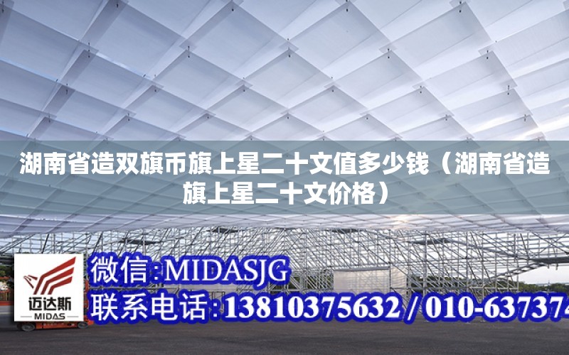 湖南省造雙旗幣旗上星二十文值多少錢（湖南省造旗上星二十文價格）