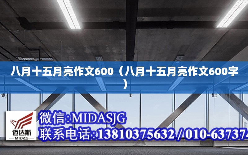 八月十五月亮作文600（八月十五月亮作文600字）