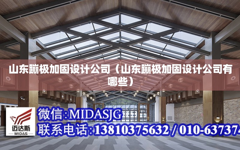 山東蹦極加固設計公司（山東蹦極加固設計公司有哪些）