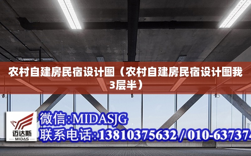 農村自建房民宿設計圖（農村自建房民宿設計圖我3層半）