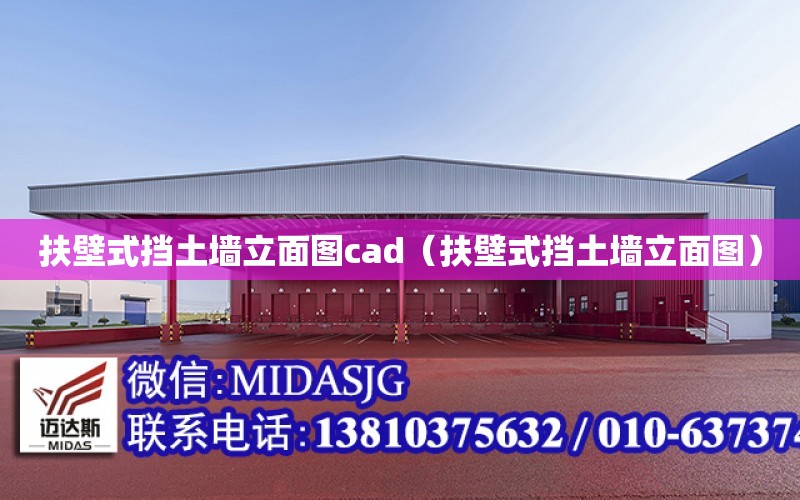 扶壁式擋土墻立面圖cad（扶壁式擋土墻立面圖）