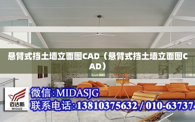 懸臂式擋土墻立面圖CAD（懸臂式擋土墻立面圖CAD）