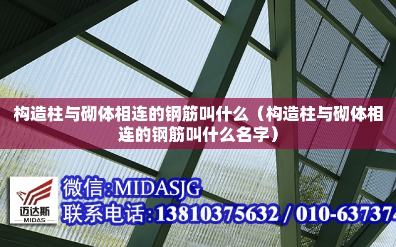 構造柱與砌體相連的鋼筋叫什么（構造柱與砌體相連的鋼筋叫什么名字）