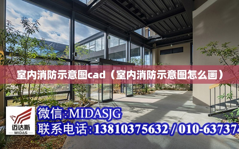 室內消防示意圖cad（室內消防示意圖怎么畫）