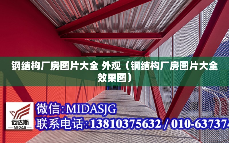 鋼結構廠房圖片大全 外觀（鋼結構廠房圖片大全效果圖）