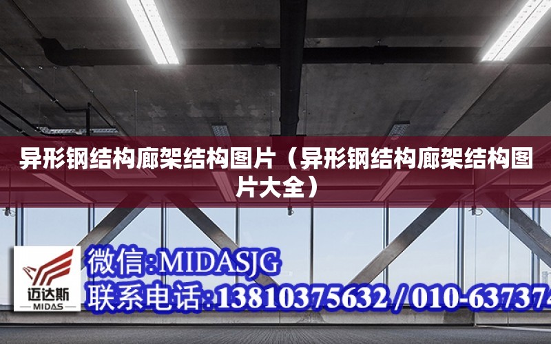 異形鋼結構廊架結構圖片（異形鋼結構廊架結構圖片大全）