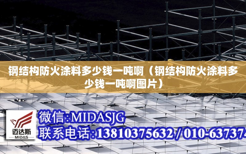 鋼結構防火涂料多少錢一噸?。ㄤ摻Y構防火涂料多少錢一噸啊圖片）