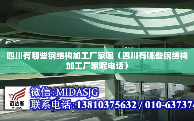 四川有哪些鋼結構加工廠家呢（四川有哪些鋼結構加工廠家呢電話）