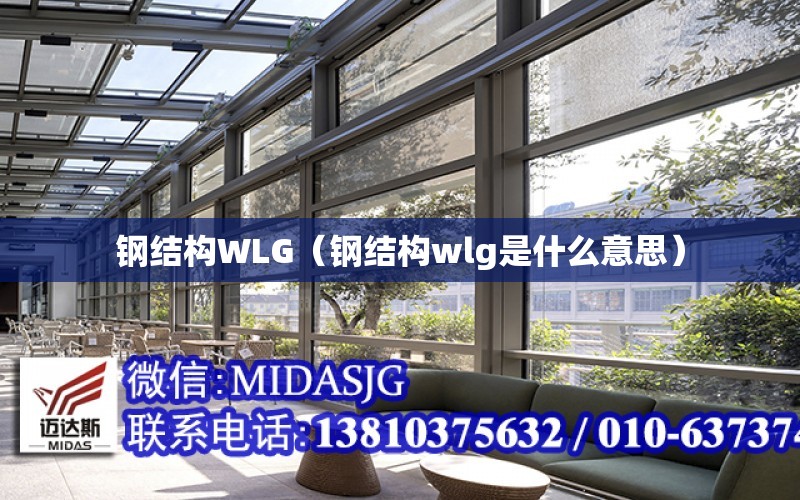 鋼結構WLG（鋼結構wlg是什么意思）