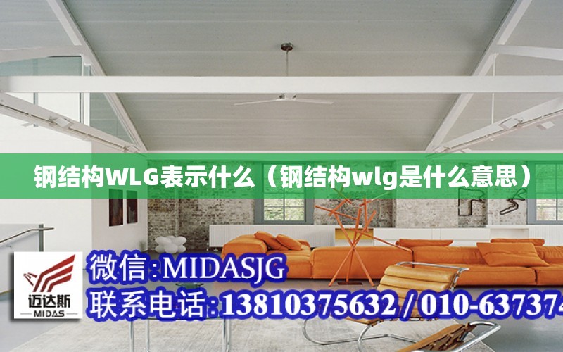 鋼結構WLG表示什么（鋼結構wlg是什么意思）