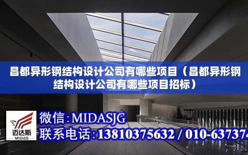 昌都異形鋼結構設計公司有哪些項目（昌都異形鋼結構設計公司有哪些項目招標）