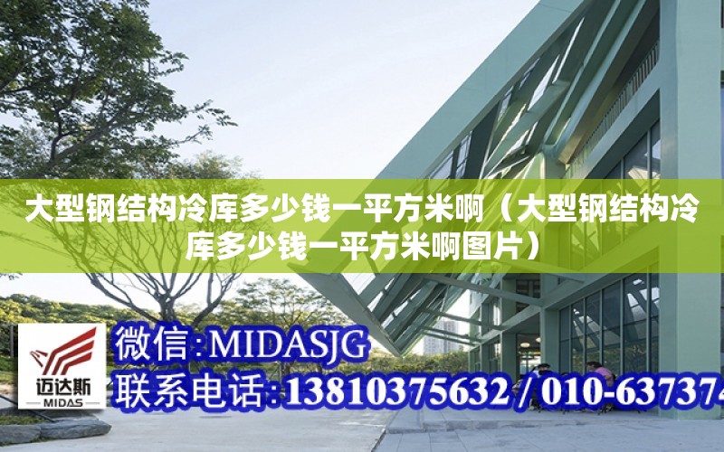 大型鋼結構冷庫多少錢一平方米?。ù笮弯摻Y構冷庫多少錢一平方米啊圖片）