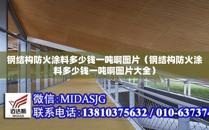 鋼結構防火涂料多少錢一噸啊圖片（鋼結構防火涂料多少錢一噸啊圖片大全）