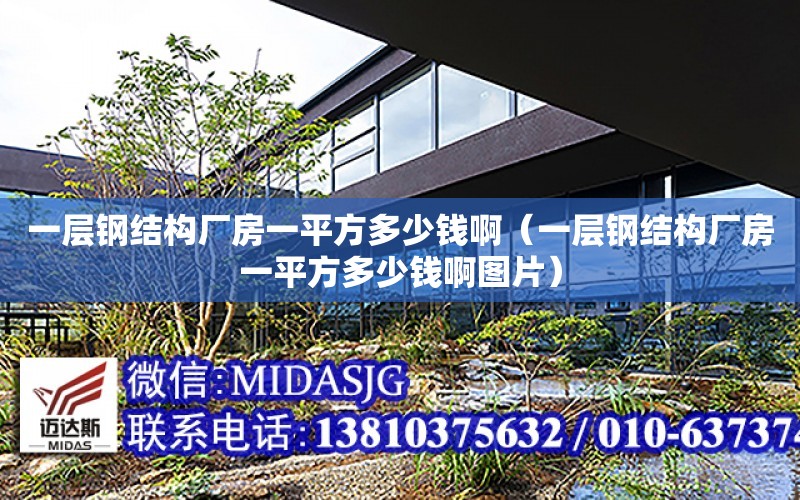 一層鋼結構廠房一平方多少錢?。ㄒ粚愉摻Y構廠房一平方多少錢啊圖片）