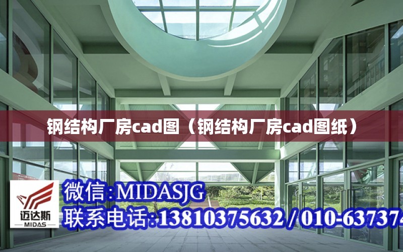 鋼結構廠房cad圖（鋼結構廠房cad圖紙）