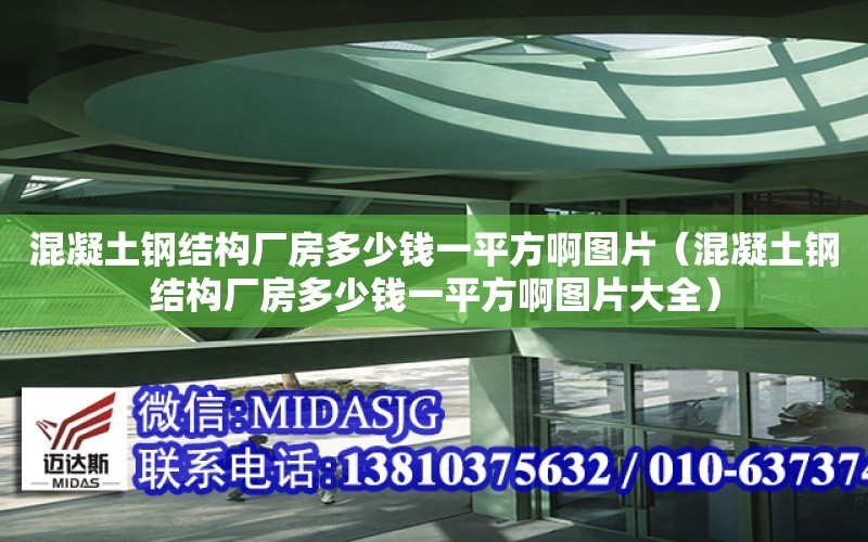 混凝土鋼結構廠房多少錢一平方啊圖片（混凝土鋼結構廠房多少錢一平方啊圖片大全）