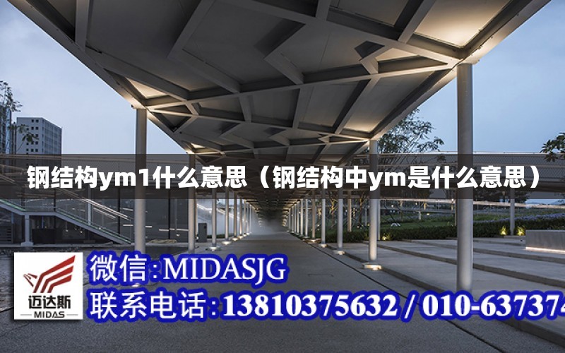 鋼結構ym1什么意思（鋼結構中ym是什么意思）