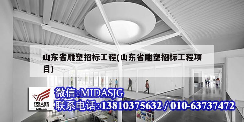 山東省雕塑招標工程(山東省雕塑招標工程項目)