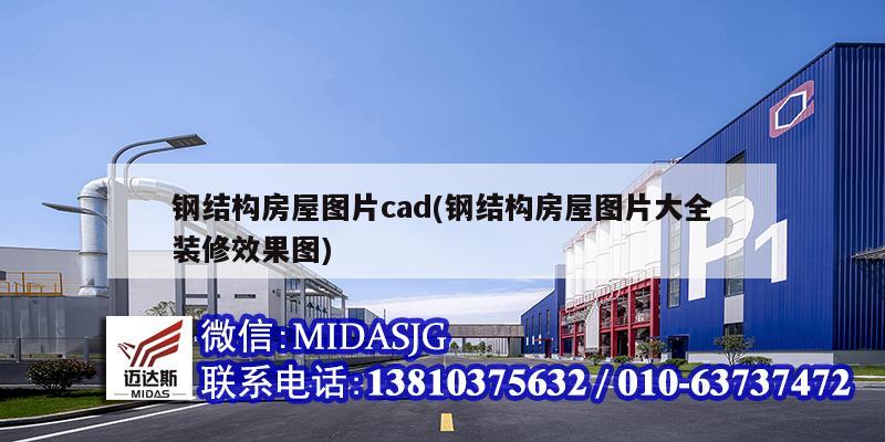 鋼結構房屋圖片cad(鋼結構房屋圖片大全裝修效果圖)