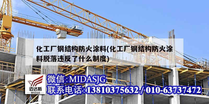 化工廠鋼結構防火涂料(化工廠鋼結構防火涂料脫落違反了什么制度)