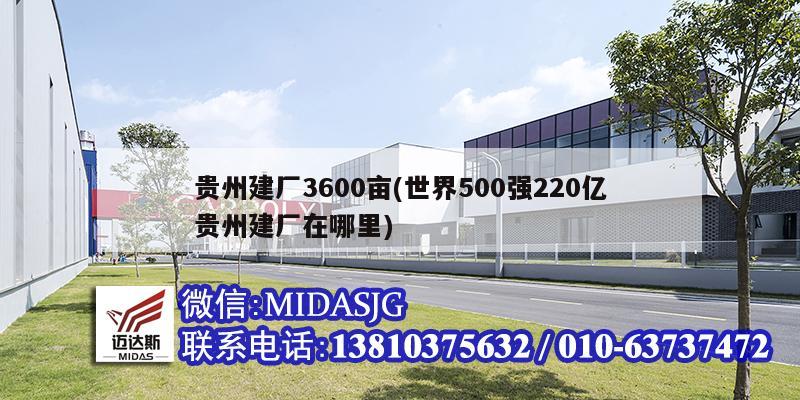 貴州建廠3600畝(世界500強220億貴州建廠在哪里)