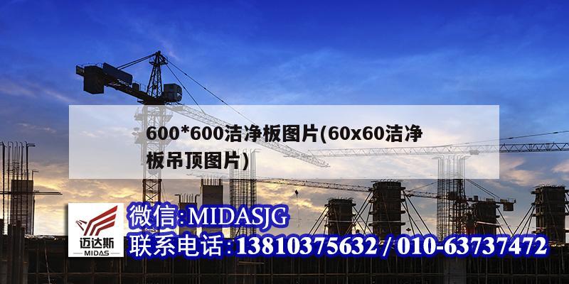 600*600潔凈板圖片(60x60潔凈板吊頂圖片)