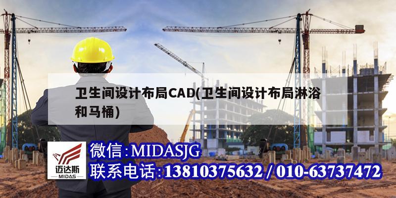 衛生間設計布局CAD(衛生間設計布局淋浴和馬桶)